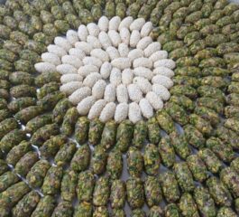 400993ce-c7cc-495d-8c3c-de78d51b67cf