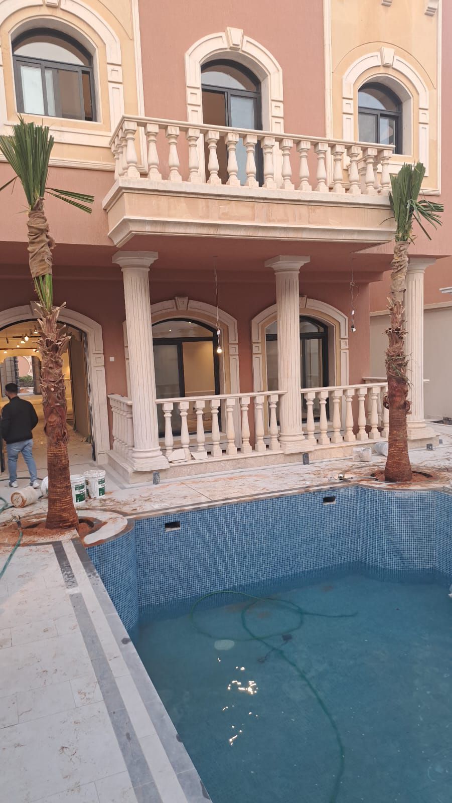 نخل واشنطن زينه أمريكي للبيع 0537883348