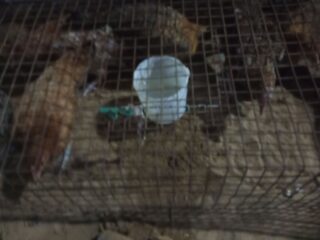 4afcf929-469f-4620-a5af-69bfae0e4633