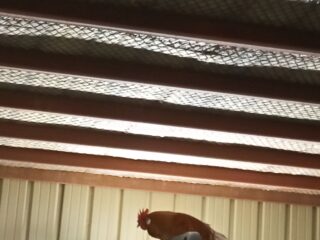 4e249b36-42c9-49d2-84ff-2c606efb881c