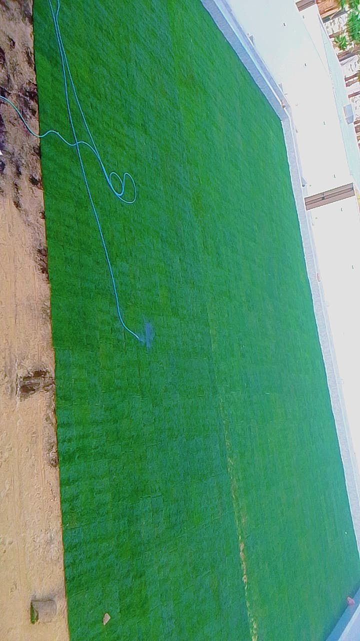 نخل وشنطونيا لزينت القصور والفلل والاستراحات والبي