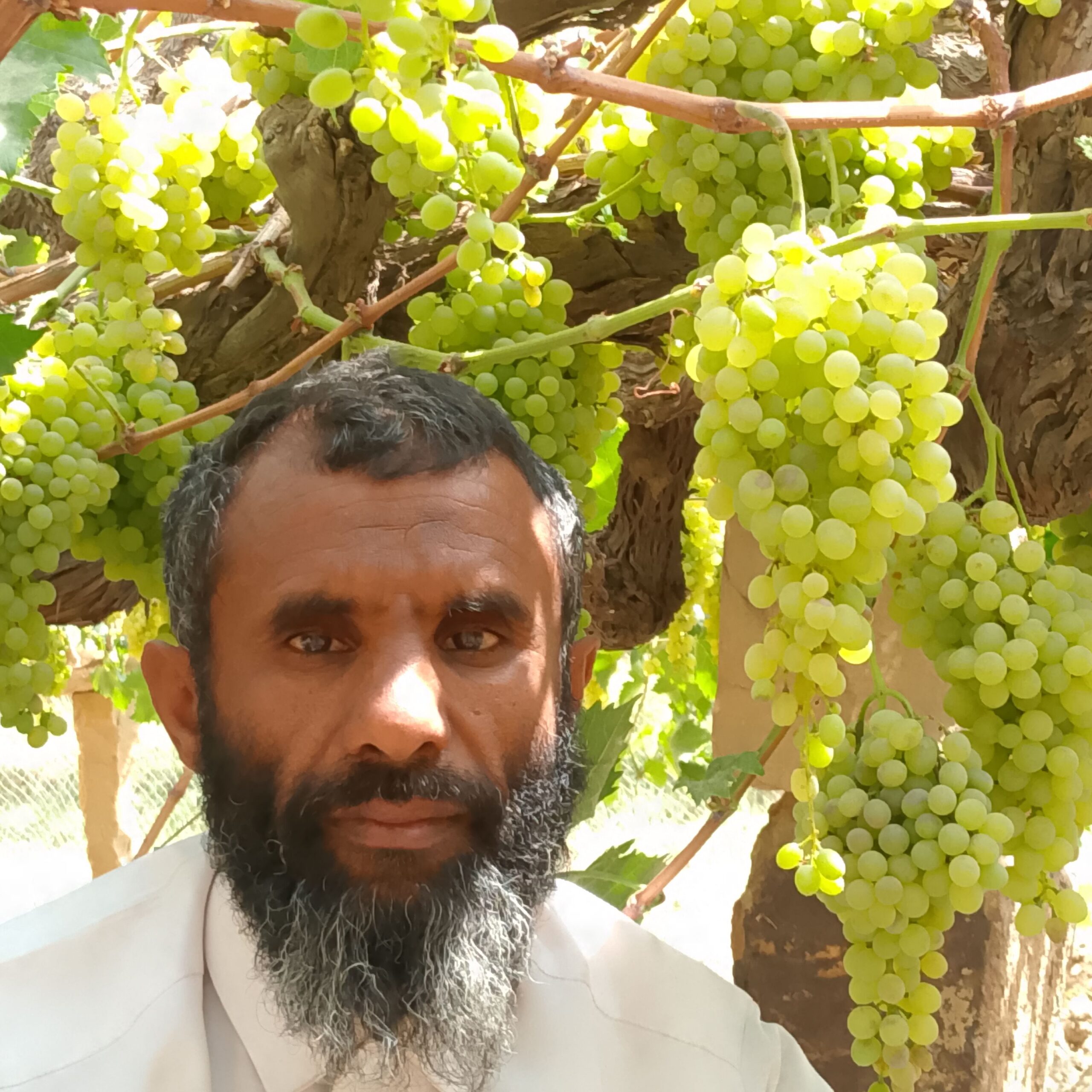 الطايف الهداء -حايل+بني سعد-جيزان