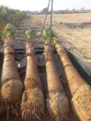 7675c815-0688-4a20-9769-bf931d02fbd8