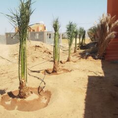 788772e8-9c7b-482b-aa66-027c6d66d097-9