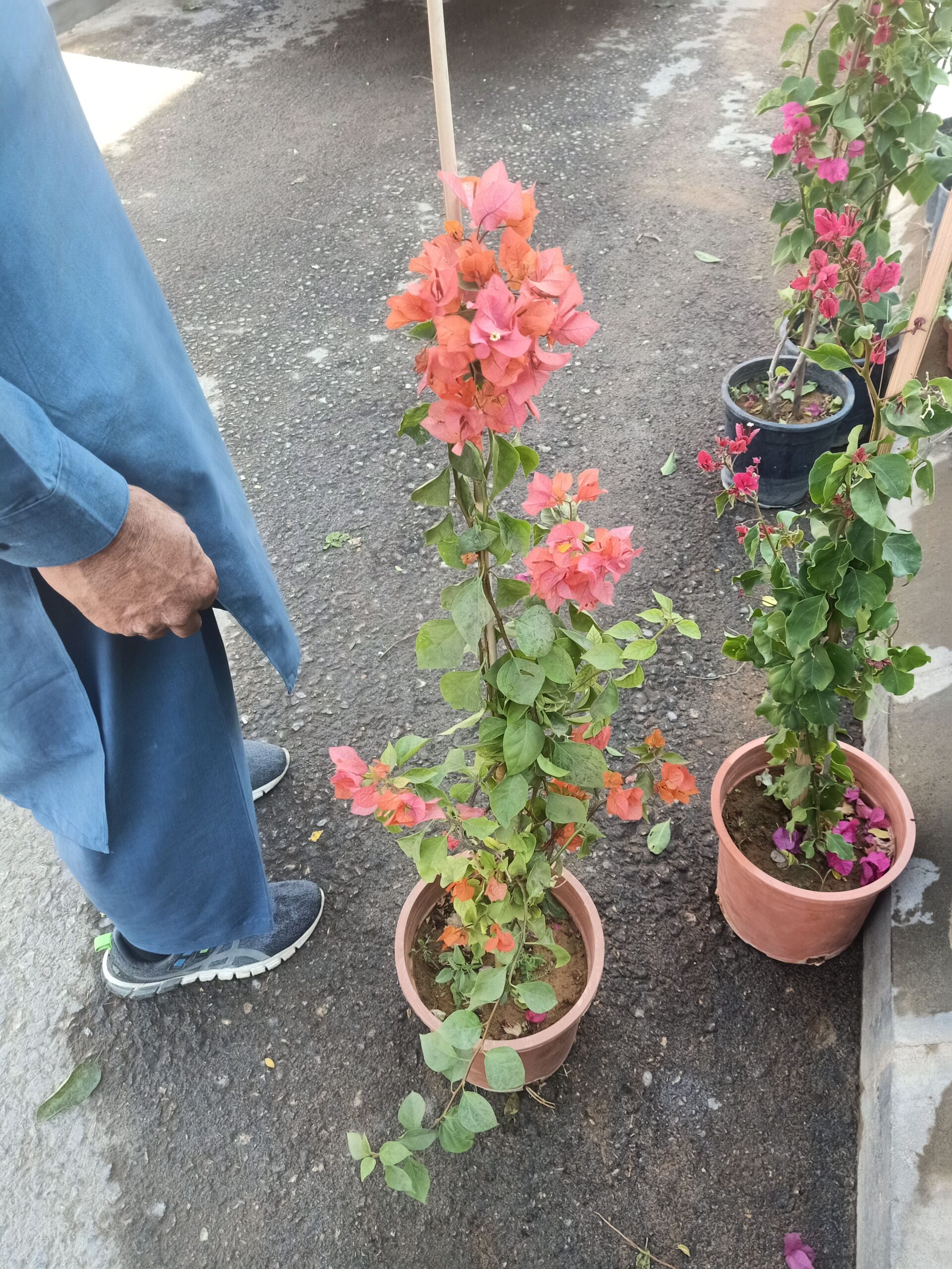 الرياض حي الملقا طريق الملك سلمان