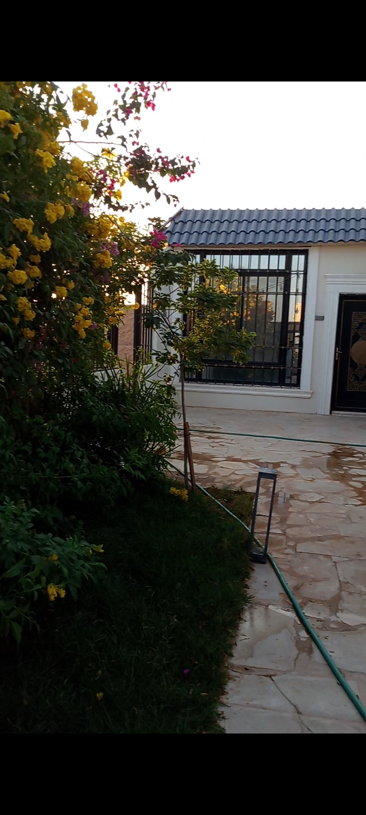 موجود عامل استراحه مزرعة سقي أشجار تنظيف