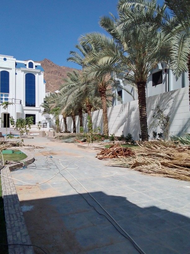 نجران الجربه