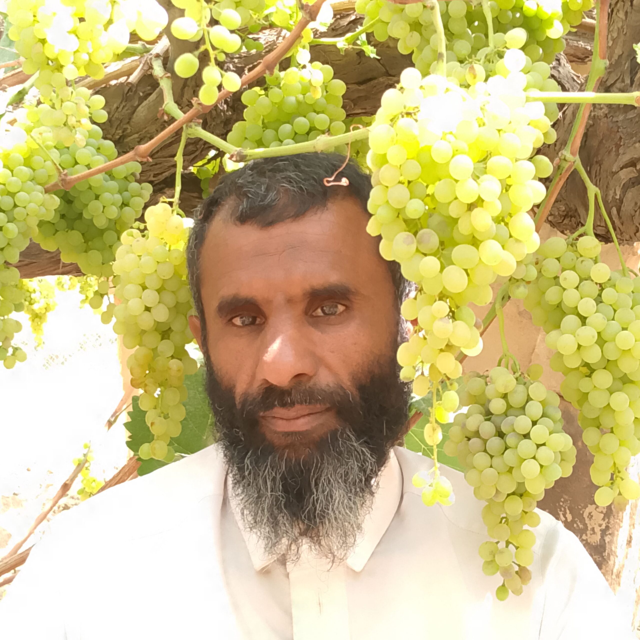 الطايف الهداء -حايل+بني سعد-جيزان