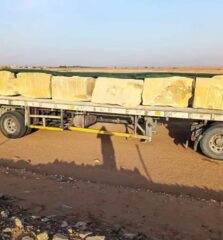 9293838b-5471-477c-a432-5d8f645147d5