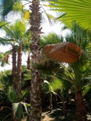 98445623-5ac7-4dbc-b297-16d72cb9fc9e