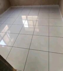 a711e16d-68f1-4dd2-9935-b267253afd18