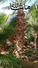 b5b1e249-1b9f-4e05-bebb-5c7659f2b8ca