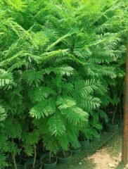 b89f2c0f-7e80-4e41-af4f-81922814c04e