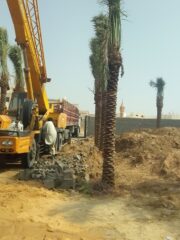 b9530a3e-0748-472c-9ed1-5f6a935f0144