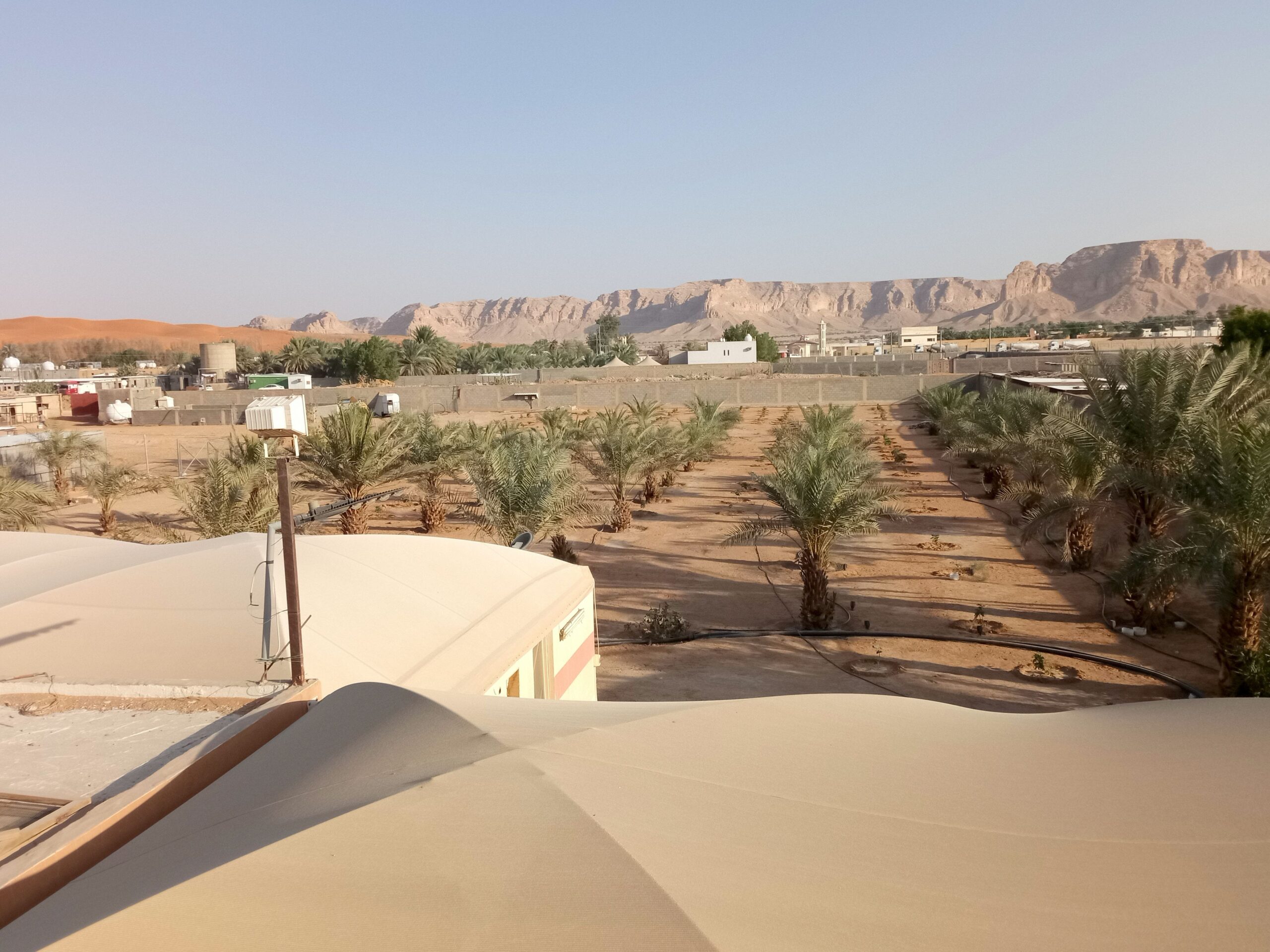 الرياض المزاحمية الجله تبراك السليمانية الجديدة كل