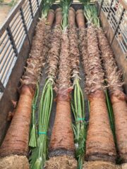 c0d0d538-e502-4c44-8942-b164dac1faea