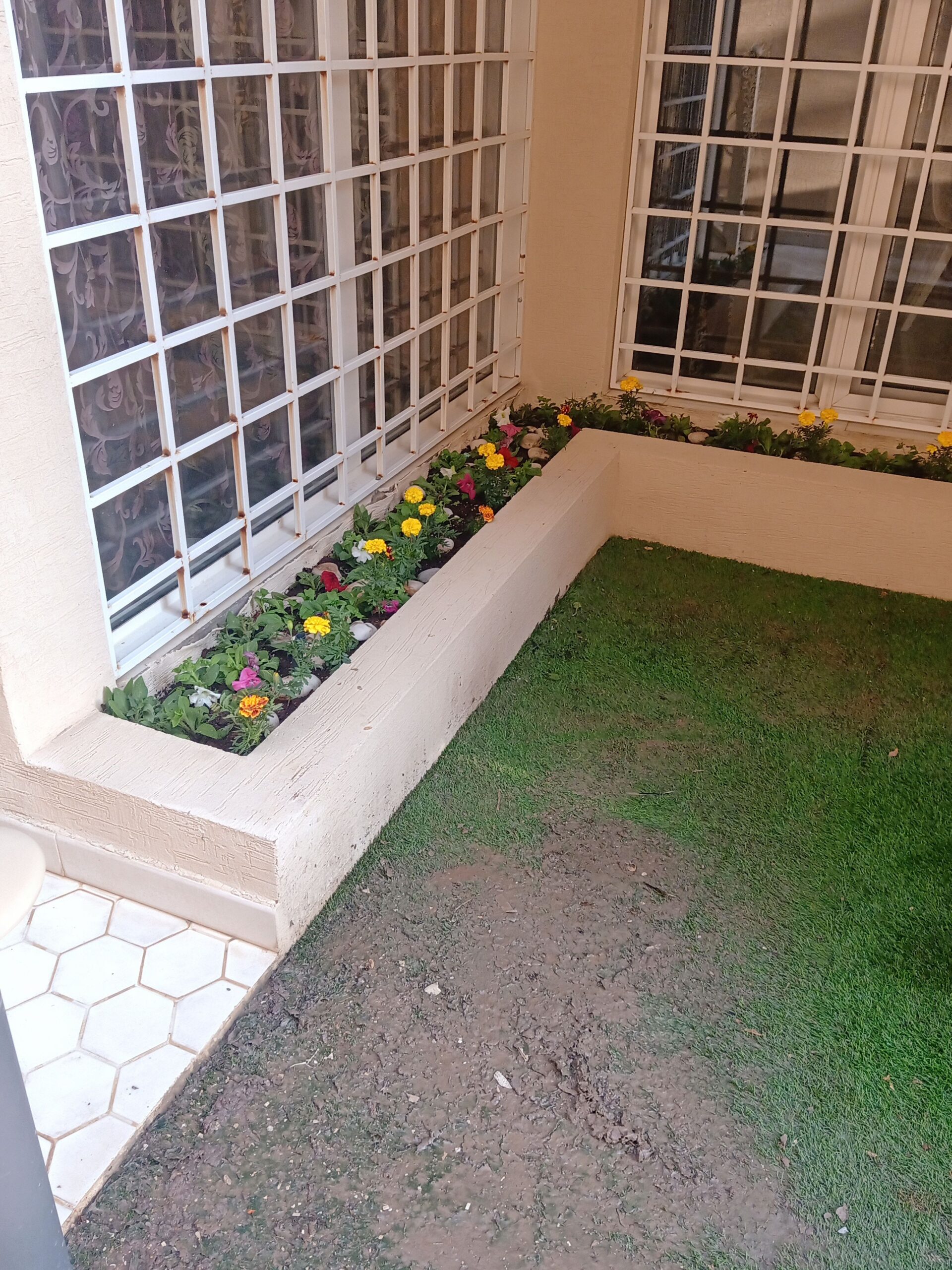 مشتل زراعي الرياض حي الملقا طريق الملك سلمان