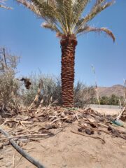 c7e11cc6-1dfd-44e4-a10f-8e3d4dbf83c7