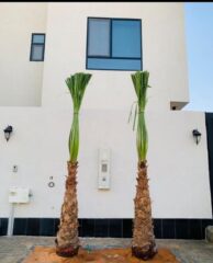 c9200d55-1339-43c2-b82c-fbff8c837fb5