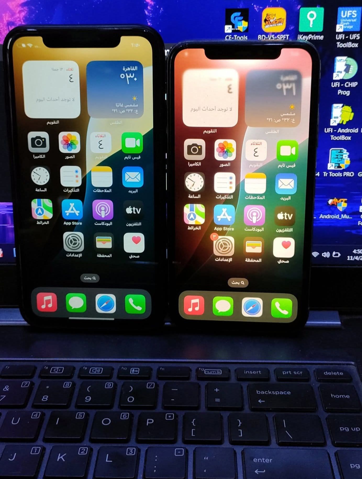 جميع المملكة