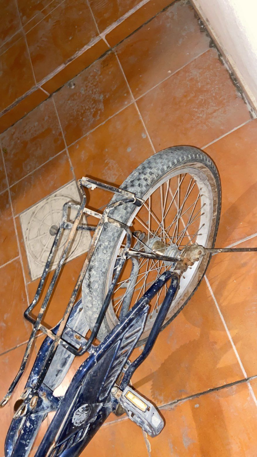 العنوان الشرقية حي الضاحيه الملك فهد حي اسادس