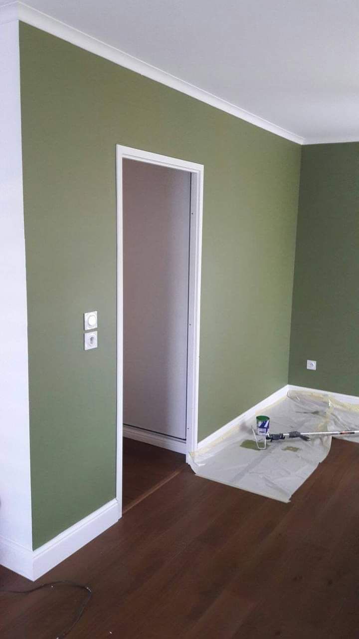 دهان تبوك فني دهانات