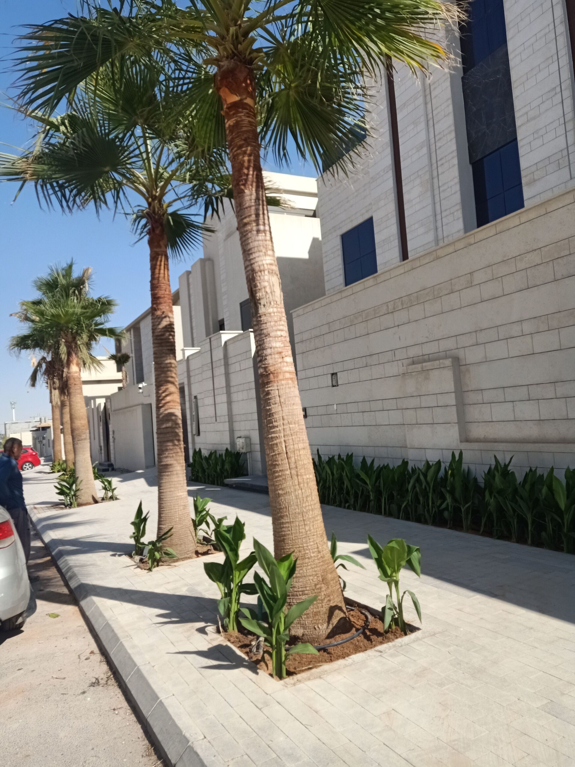 مشتل زراعي الرياض حي الملقا طريق الملك سلمان