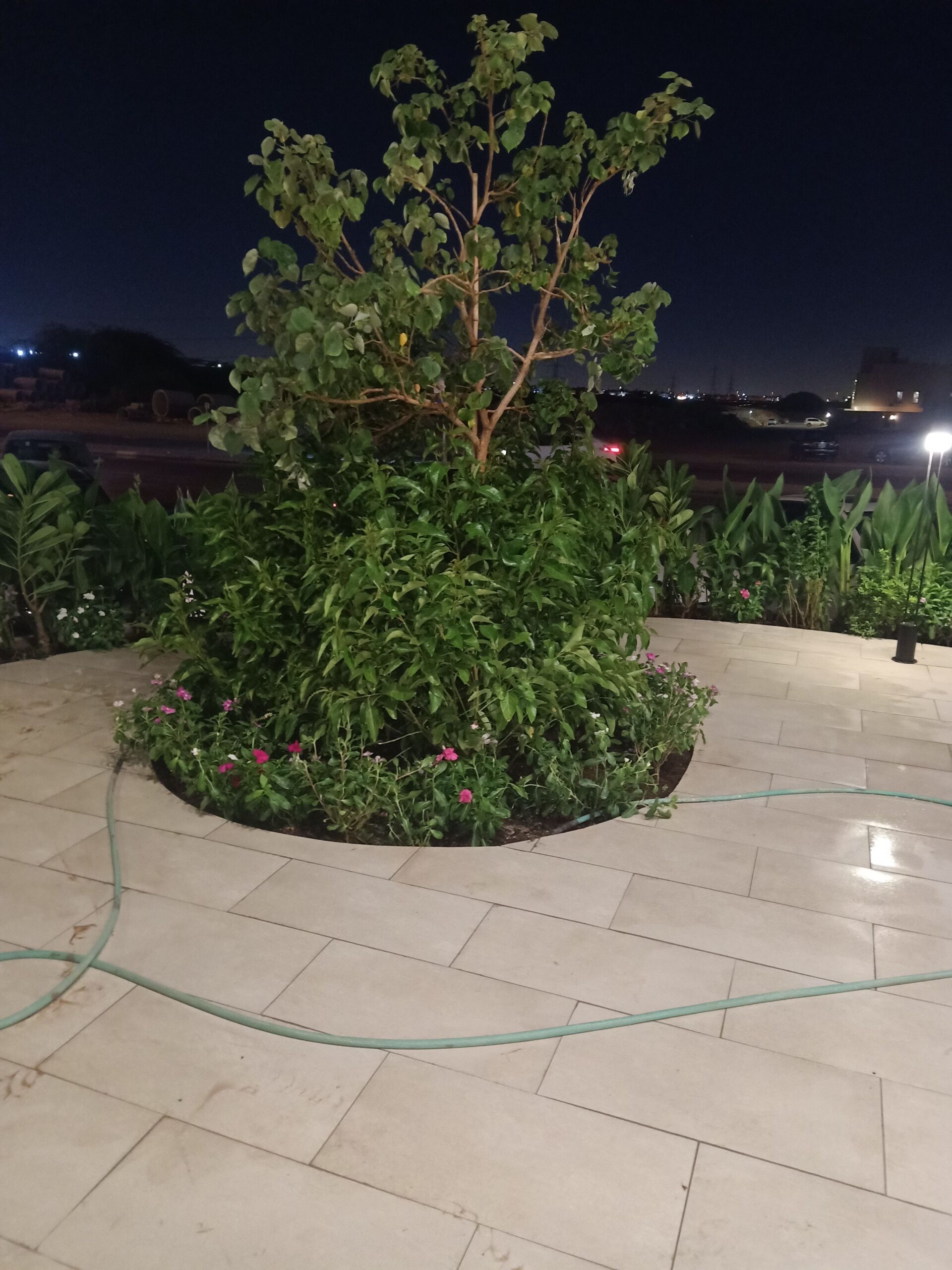 مشتل زراعي الرياض حي الملقا طريق الملك سلمان