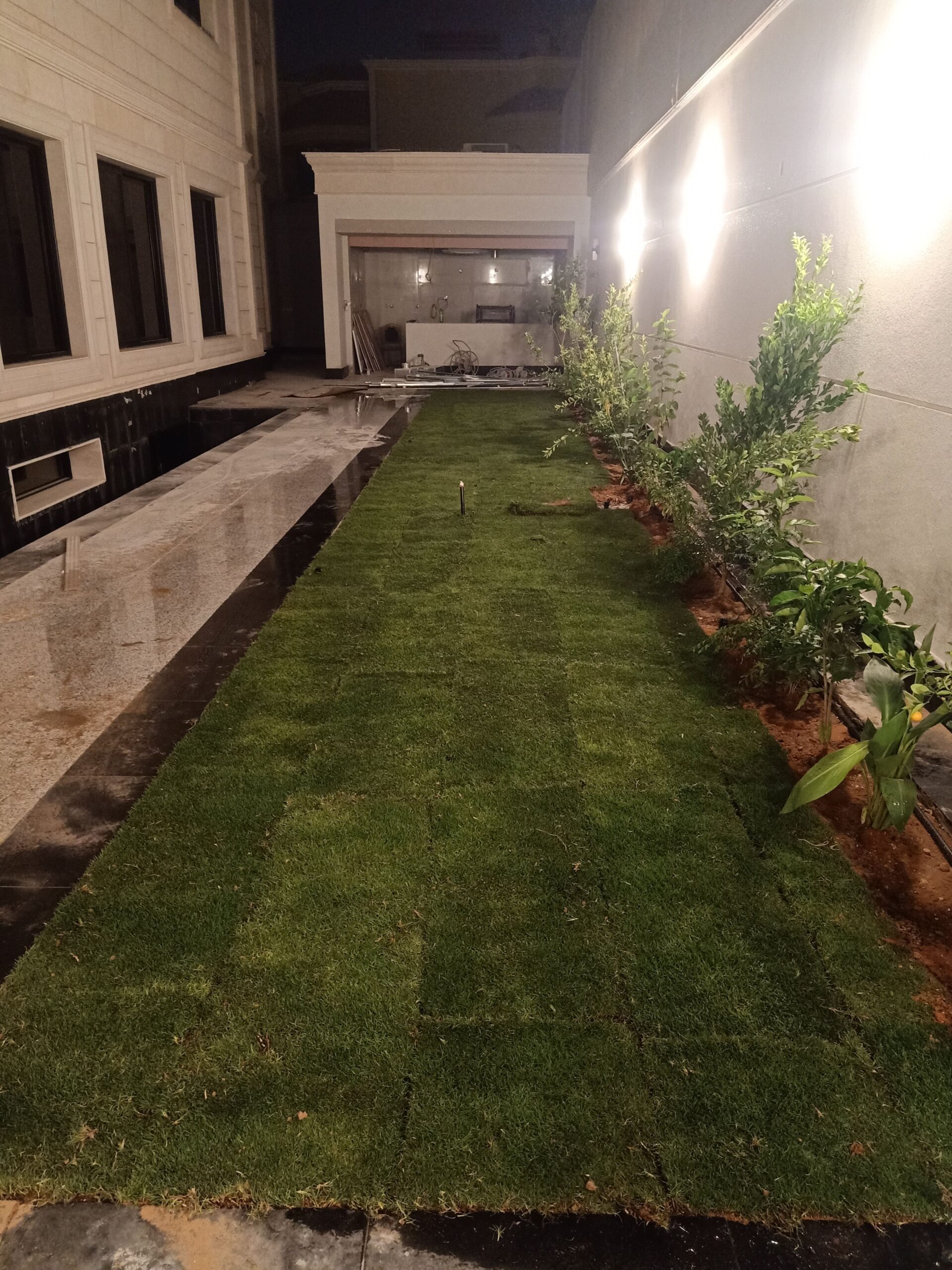 مشتل زراعي الرياض حي الملقا طريق الملك سلمان