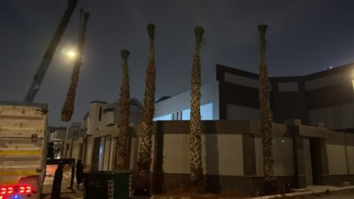 fe9ced33-31e2-4928-8cb5-219a96d23113