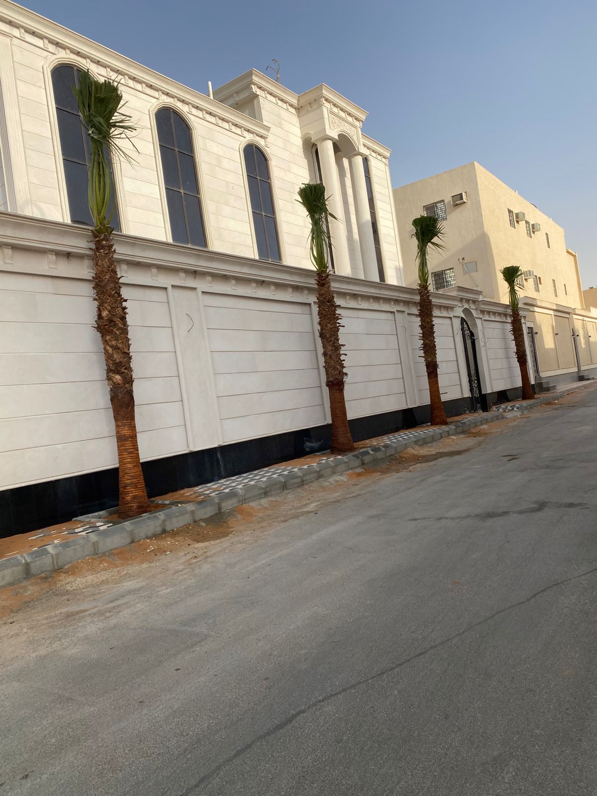 نخل واشنطن زينه أمريكي للبيع 0537883348