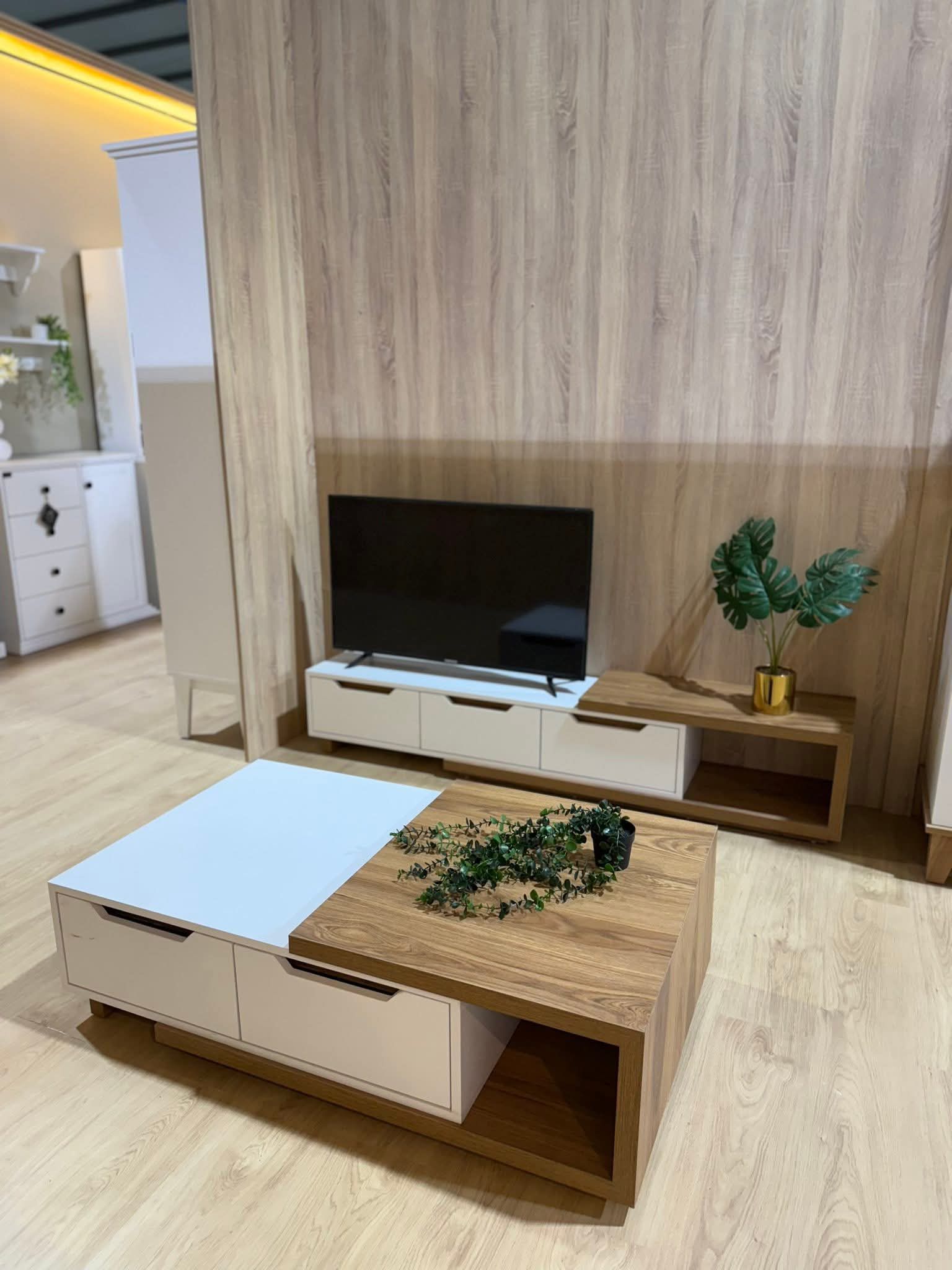 المدينة المنورة