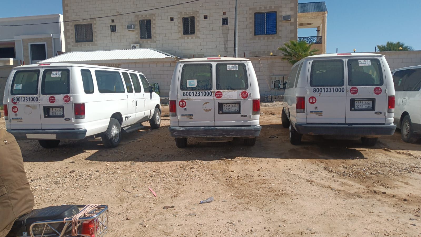 الطائف الرميده