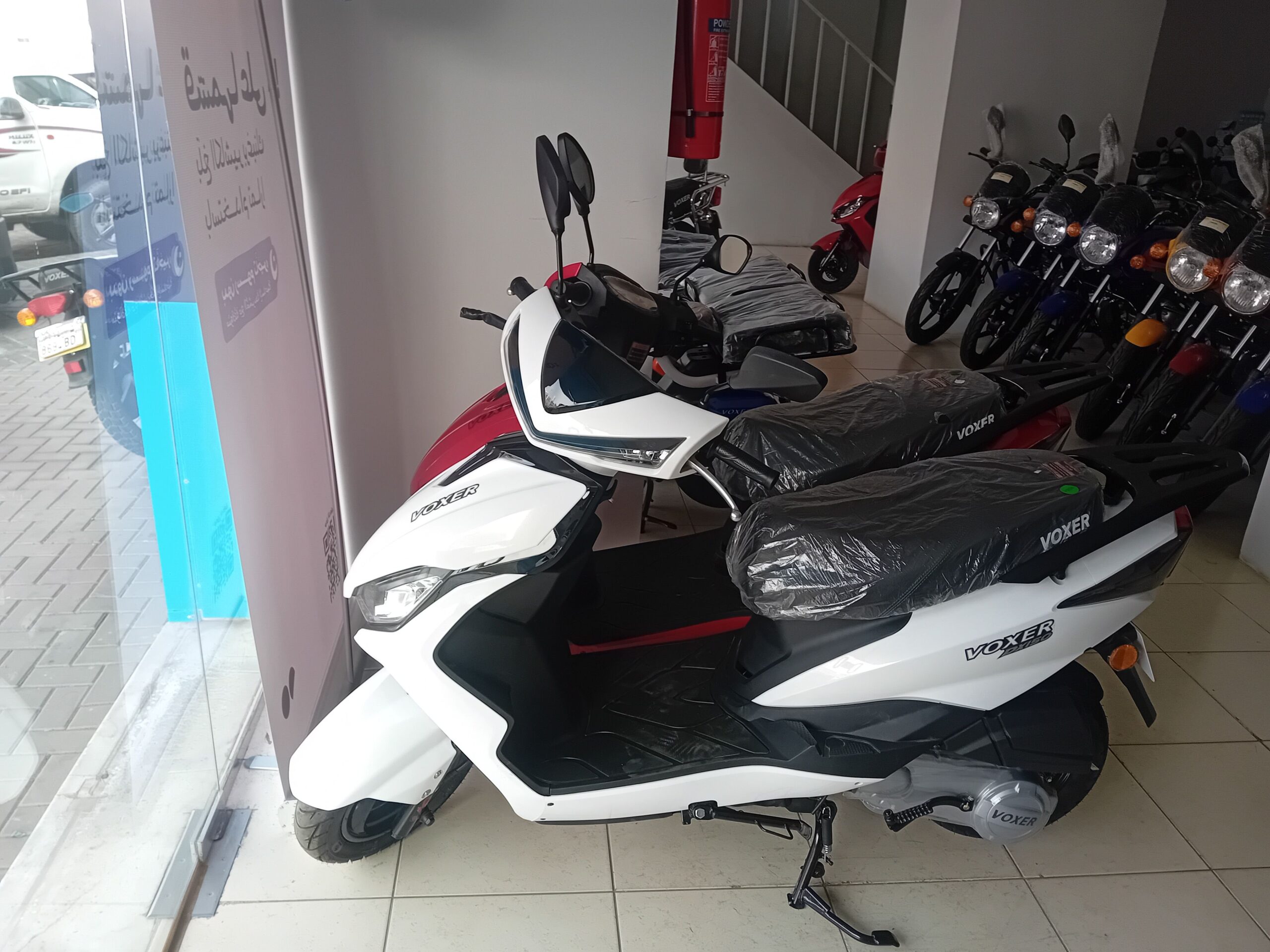 الامير ماجد مطعم كبري فلسطين