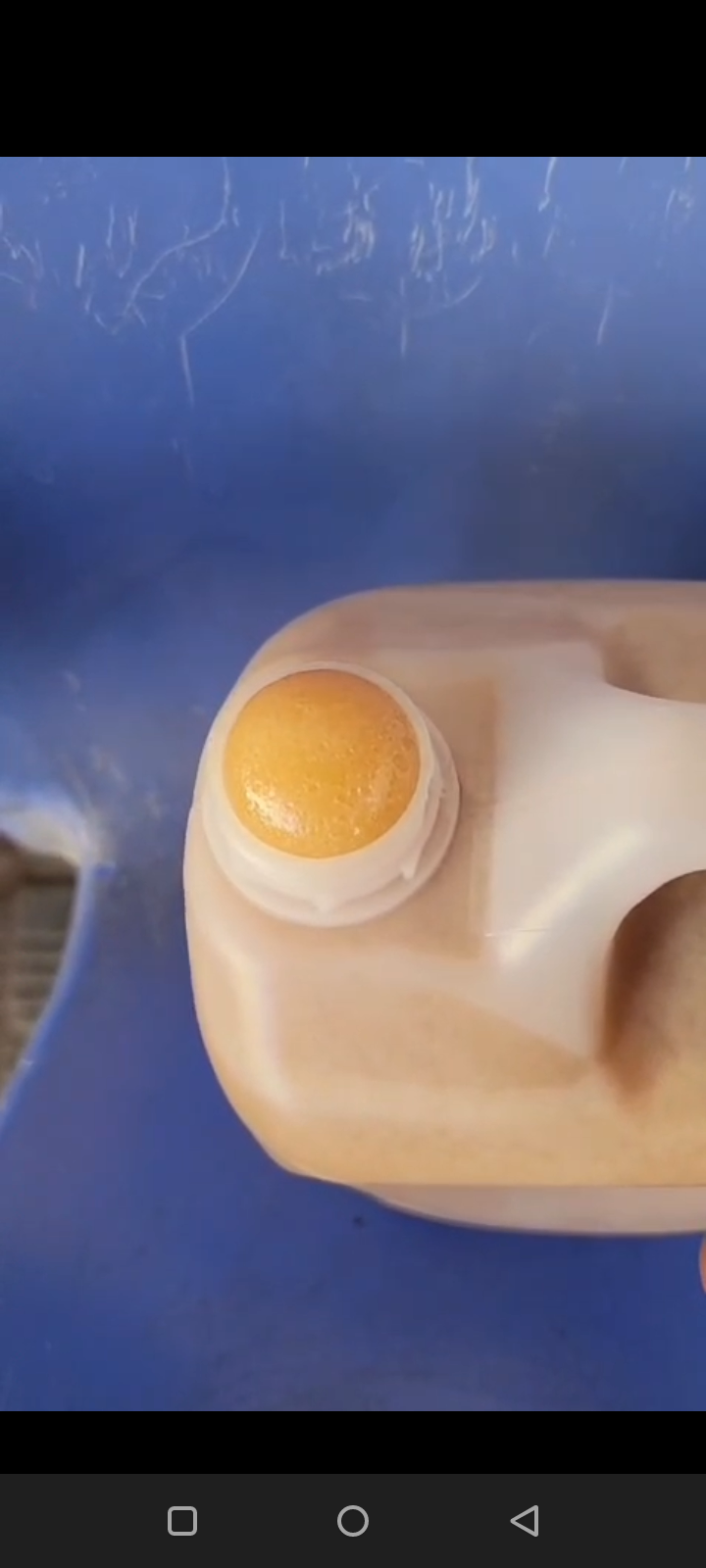 عسل سدر ملكي حضرمي