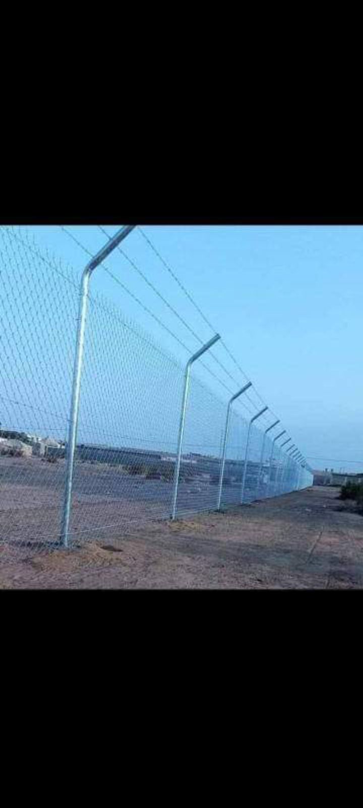 زراعه نخيل عربي واشنطني واعمال الشبوك وتوريدها