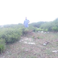 337bf626-f883-40b9-899a-f4bb905c3f38