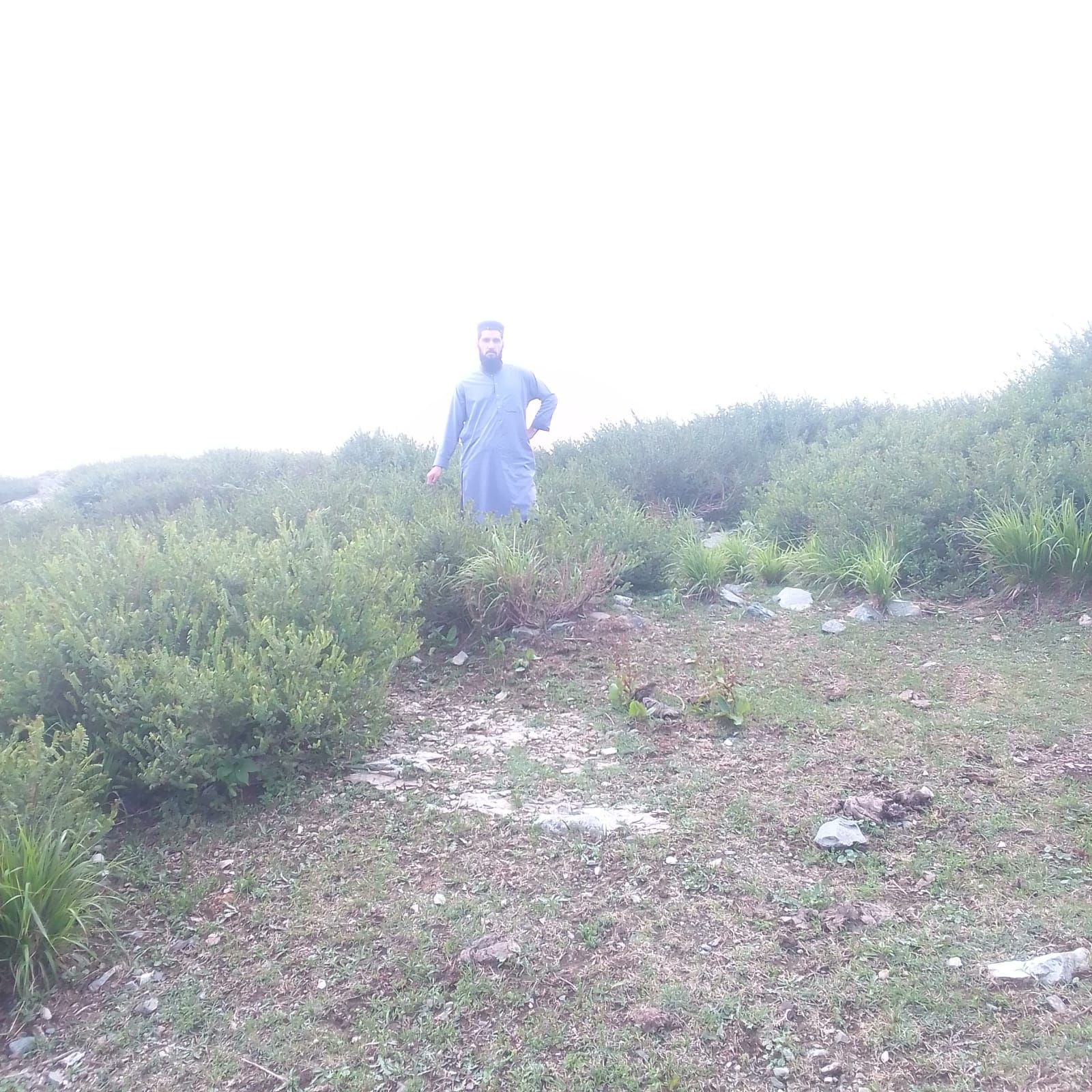 الخدمات تحميل تنزيل تكسير و تنضيف الرياض باكستاني