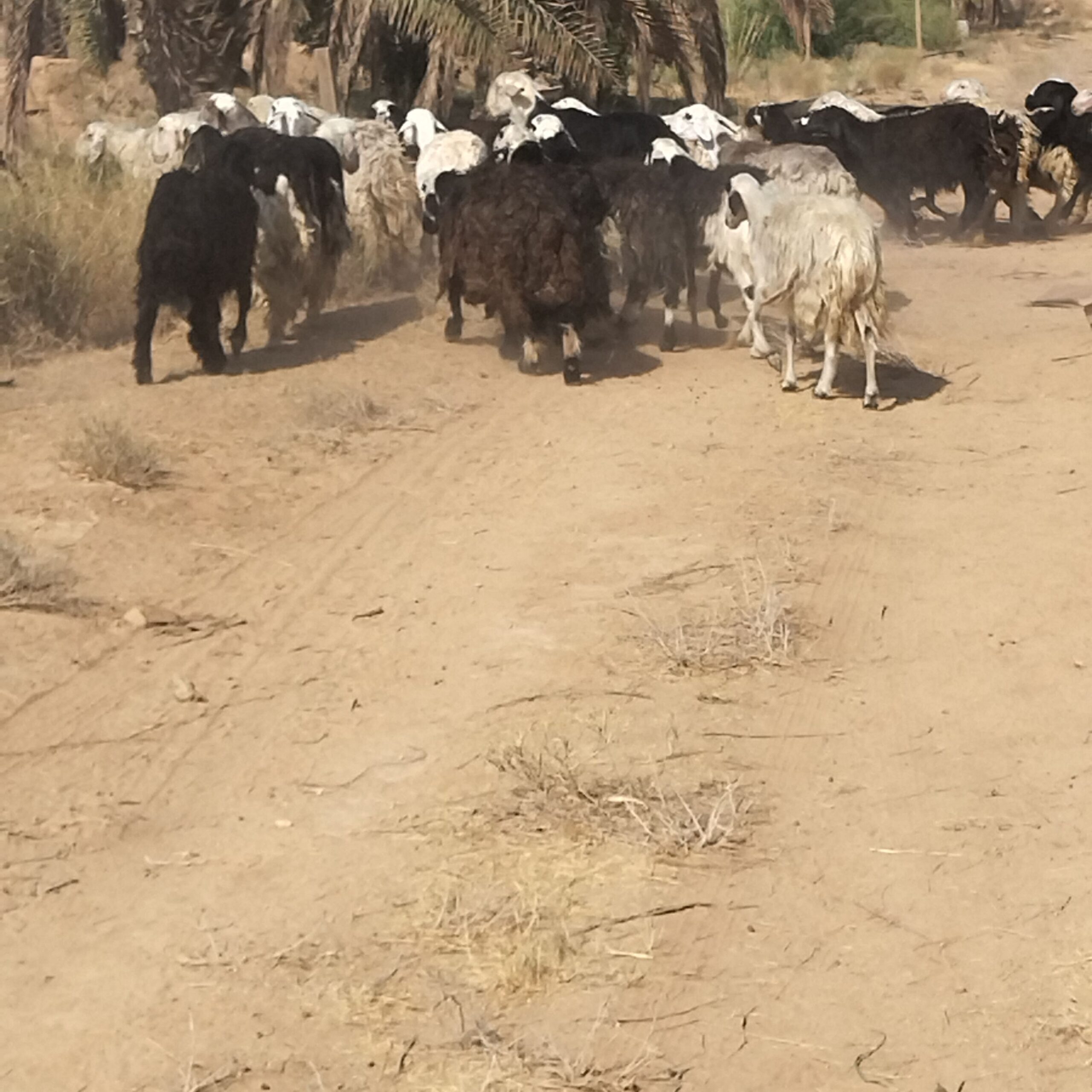 الموقع الرياض حريملاء