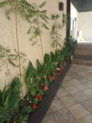 42c6aa53-c738-4d24-9e66-88b14ba1e317