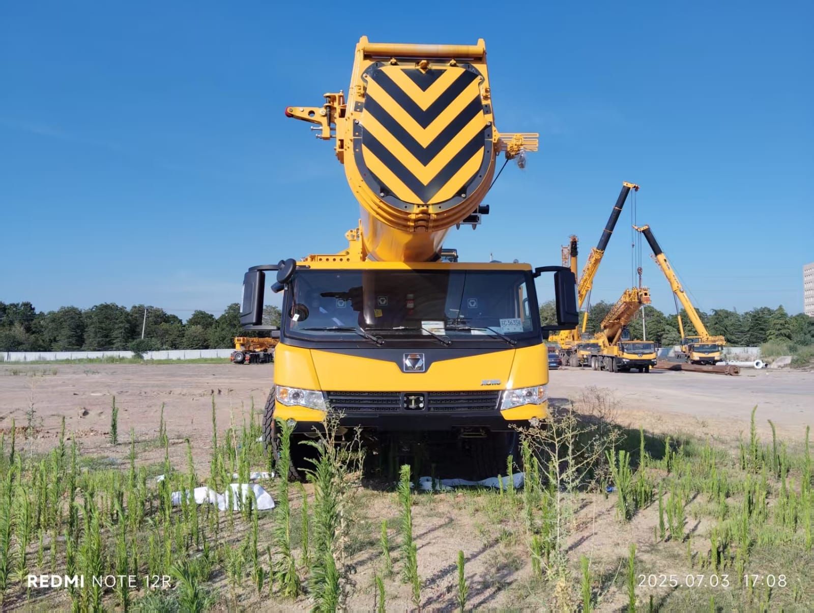 الرياض الكرينات