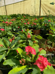 58f80fe8-7be6-4566-808a-929680c0c009