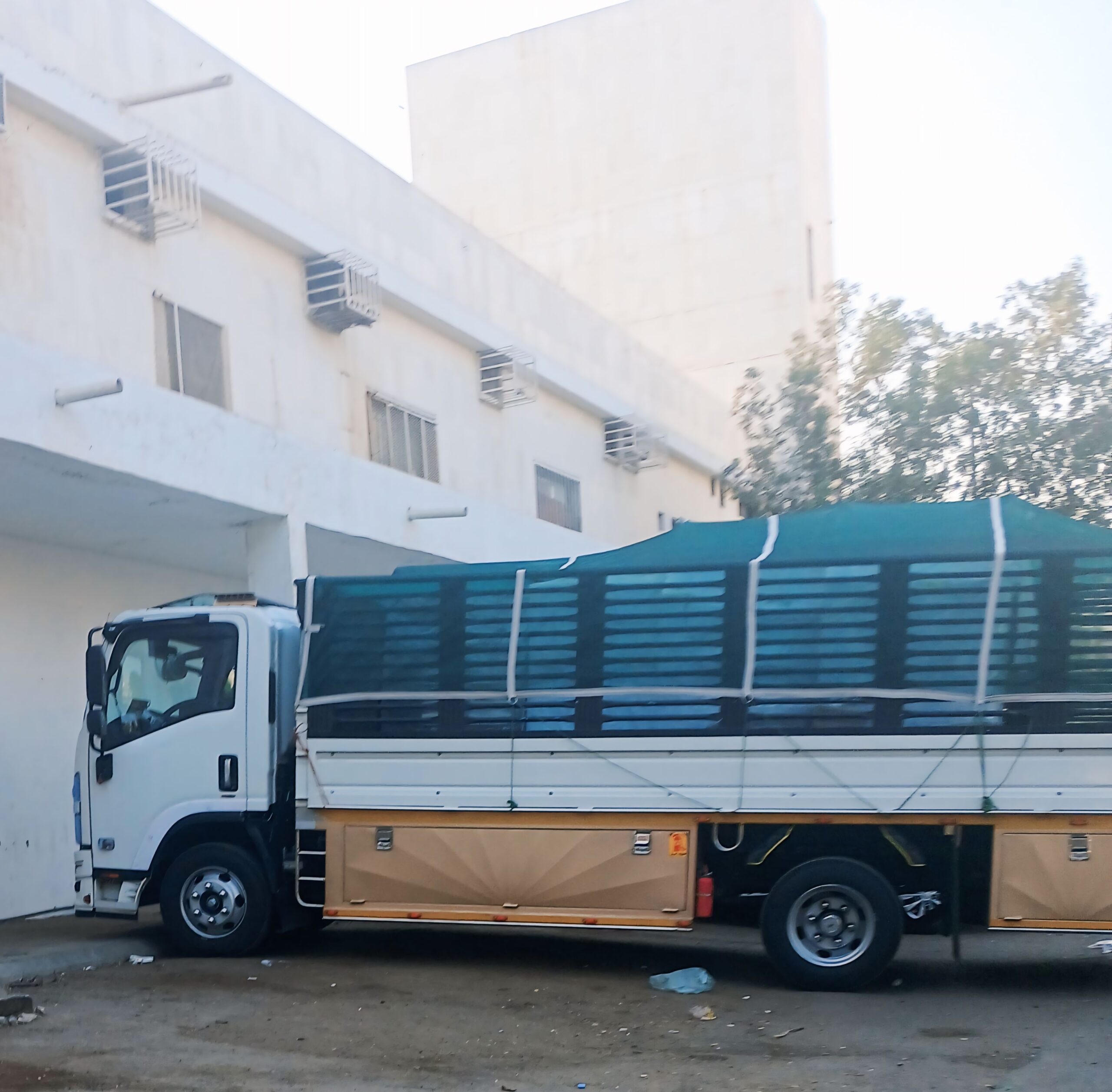 دينه نقل عفش داخل وخارج جده