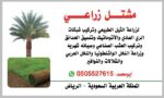 مشتل زراعي الرياض حي الملقا طريق الملك سلمان