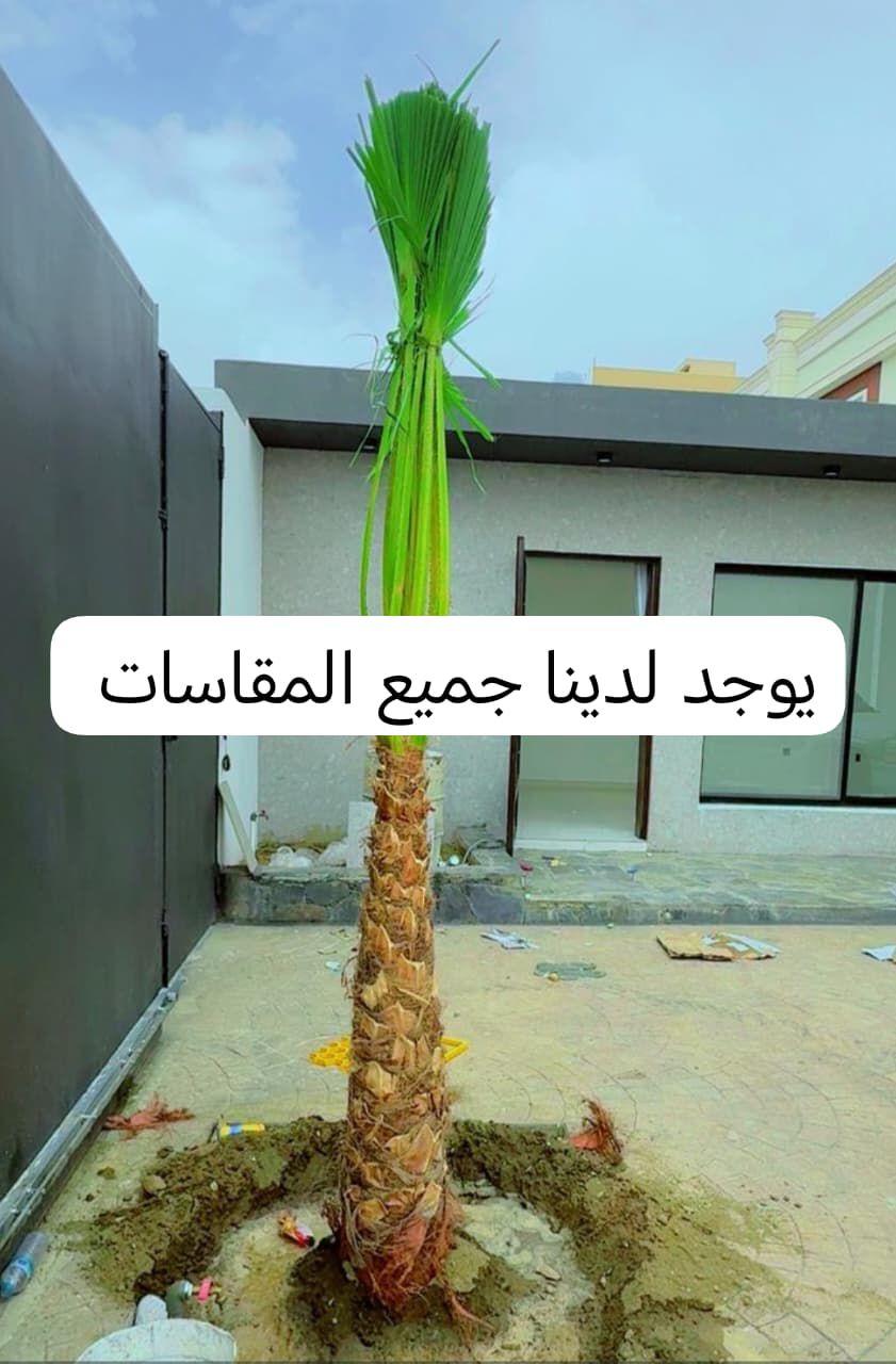 يوجد لدينا جميع انواع انخيل