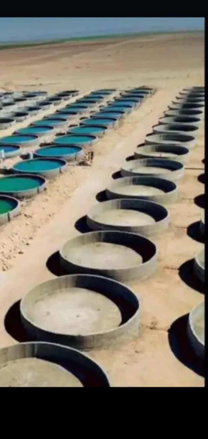 خزانات دایری میاء