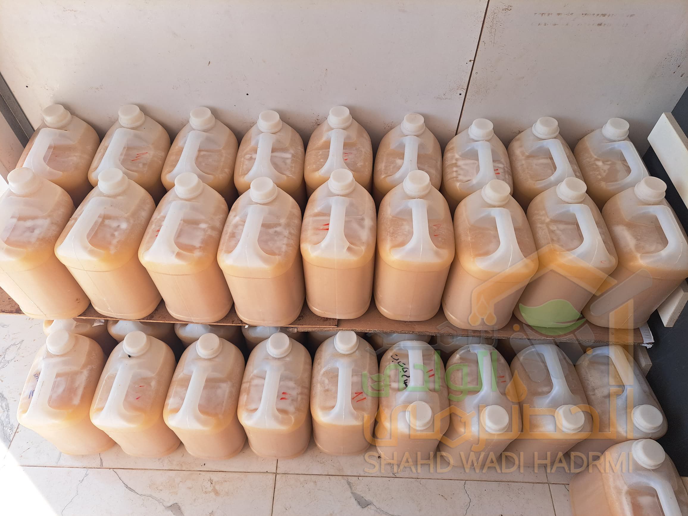 عسل سدر ملكي حضرمي