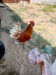 8514d341-4a3d-4ce3-a2a7-de52946a399a