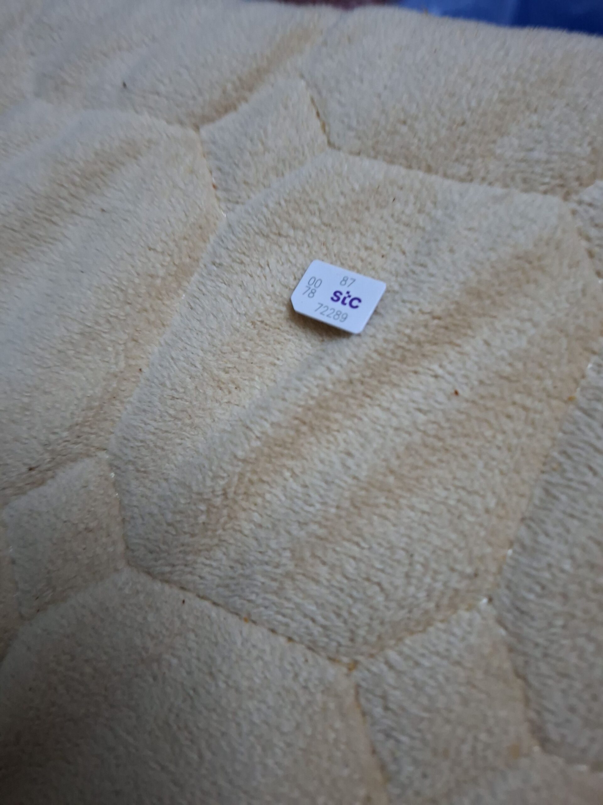 رقم جوال استيسي 0552853290 بنقله للمشتري في مكتب ا