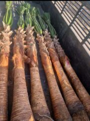 8d53e7fb-e576-4792-918b-ca0dcd3e34dc